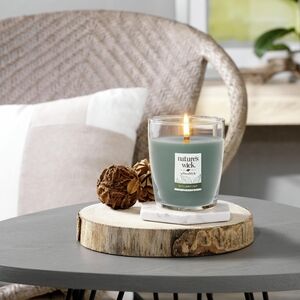 NWT Yankee Woodwick Succulent Jade candle